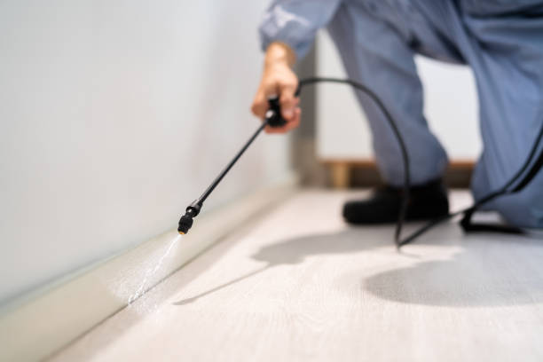 Licensed Pest Control service in Sumner, IL - Show Me Pest Control
