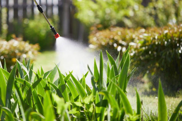 24/7 Emergency Wasp Removal experts in Sumner, IL