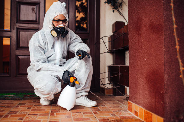 Reliable Wasp Removal contractor in Sumner, IL by Show Me Pest Control